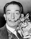 dali-babou-ocelot-21-facts.jpg