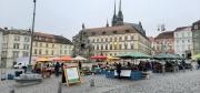 Brno3.thumb.jpg.0355e47f467501dd0b813a675967295d.jpg