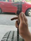IMG_20200908_182502.jpg