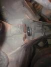 111020142157.thumb.jpg.a50bc06ca196c75a908bc45e42cbd947.jpg