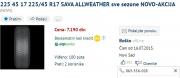 Sava All season 22545R17.jpg