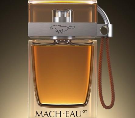 ford mach eau.jpg