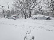 20211212_133419.thumb.jpg.aa84ee2bad83e1b9dcad651895a3896b.jpg