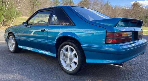 svt cobra 02.jpg