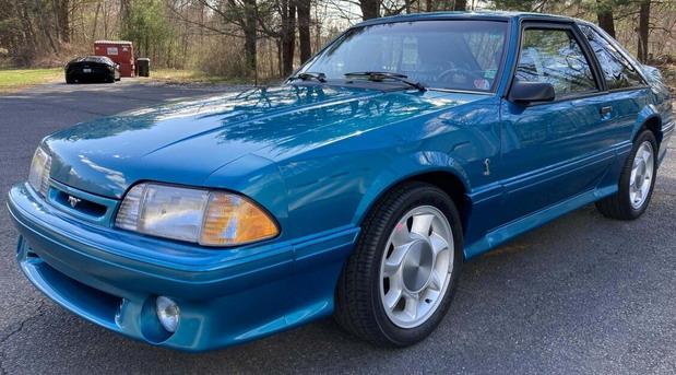 svt cobra 03.jpg