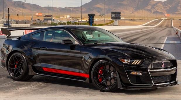 227535-Shelby 02.jpg