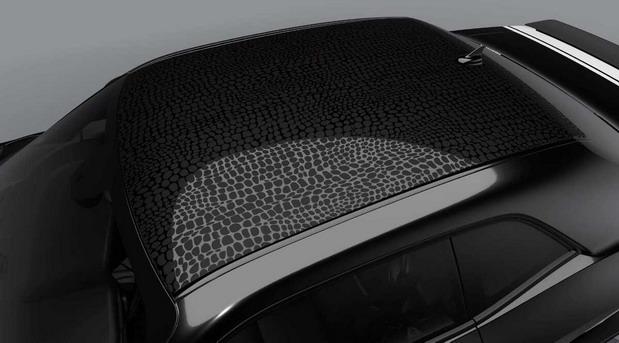 dodge black 01.jpg