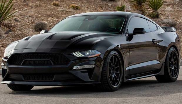 231154-shelby 03.jpg