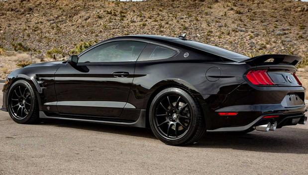 231151-shelby 02.jpg