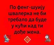 IMG-fc2859cb7d3459f93e69f0b7d2c62e3b-V.jpg