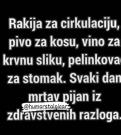 IMG-454e19ea78e2209e2204eee29bd252e1-V.jpg