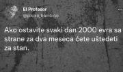 IMG_0103.jpeg