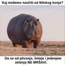 IMG_1386.jpeg