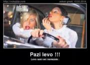 IMG_1395.jpeg