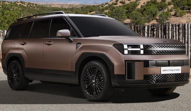 236524-Hyundai Santa Fe 24 10.jpg