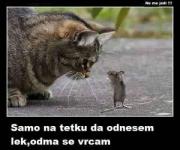 IMG_1798.jpeg