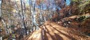 20231029_082826.jpg