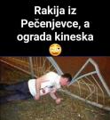 IMG_0146.jpeg