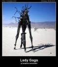 IMG_1864.jpeg