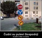 IMG_1886.jpeg