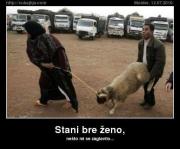 IMG_1930.jpeg