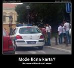 IMG_1931.jpeg