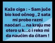 IMG_5793.thumb.jpeg.74d2bf5e65c58dfce9aad5d6262015fe.jpeg
