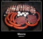 IMG_2071.jpeg