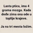 IMG_2171.jpeg