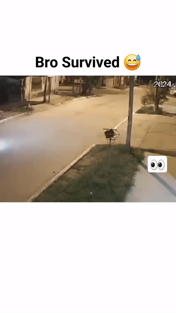 77331C78-D94A-4FBB-BFAB-ED1877DCF4FF.thumb.gif.a73e7b6df6108bc889a58bc373b55a43.gif