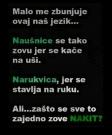 IMG_2831.jpeg