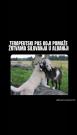 IMG-cdae9a44234d23a6ba8493b2f0cd89a4-V.jpg