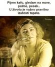 IMG-b1bd2ee6e59d3ec4abb653bf7c6bbb83-V.jpg