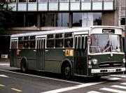 IMG_3210.jpeg