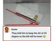 IMG_3298.jpeg