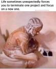 FB_IMG_1718631616954.jpg