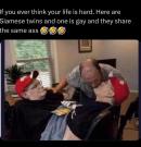 IMG_3566.thumb.jpeg.19a4369476c68c3b8b7770e607b633f8.jpeg