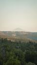 DSC01305.jpg