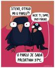 FB_IMG_1721194403552.jpg