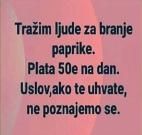 FB_IMG_1722061832634.jpg