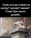 IMG-e5bde5122f653b28797c1f4f7b0423af-V.jpg