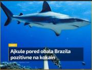IMG_3472.jpeg
