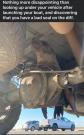 IMG_3473.jpeg