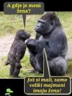 FB_IMG_1722767101483.jpg