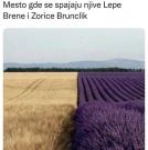 FB_IMG_1722932295666.jpg