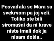 FB_IMG_1722932462305.jpg