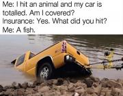 fish.jpg