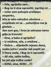IMG-8d23c0a84316c9a1b83b2d7df45e4b57-V.jpg
