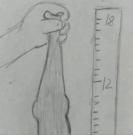 IMG_4568.thumb.jpeg.65feeca7634a90f1693fd33020d6030e.jpeg