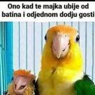 0-02-05-790f9596e625639fb5cf0c275966ba811ad6b38ddc9961adf7d73d6d8fd60c64_1d9cfe25880095.jpg